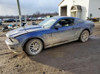  Salvage Ford Mustang