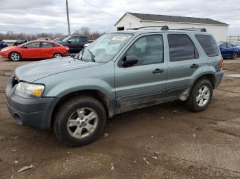  Salvage Ford Escape