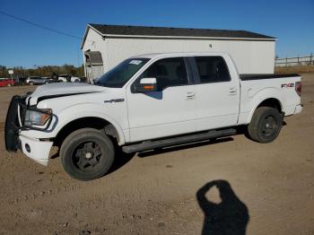  Salvage Ford F-150