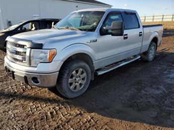  Salvage Ford F-150