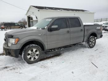  Salvage Ford F-150