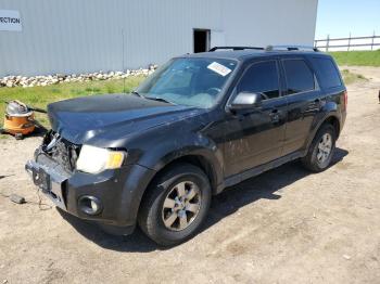  Salvage Ford Escape