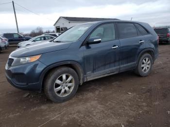  Salvage Kia Sorento