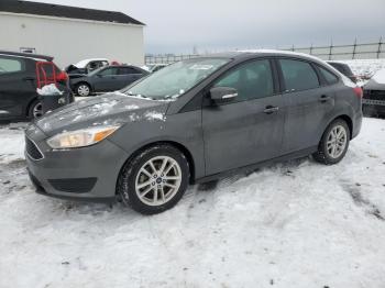  Salvage Ford Focus