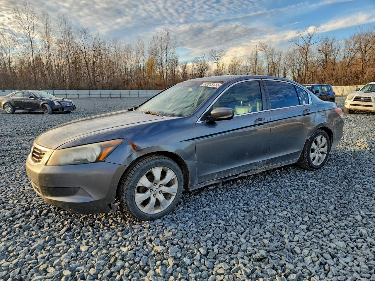 Honda Accord Exl Image 1