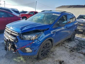  Salvage Ford Escape