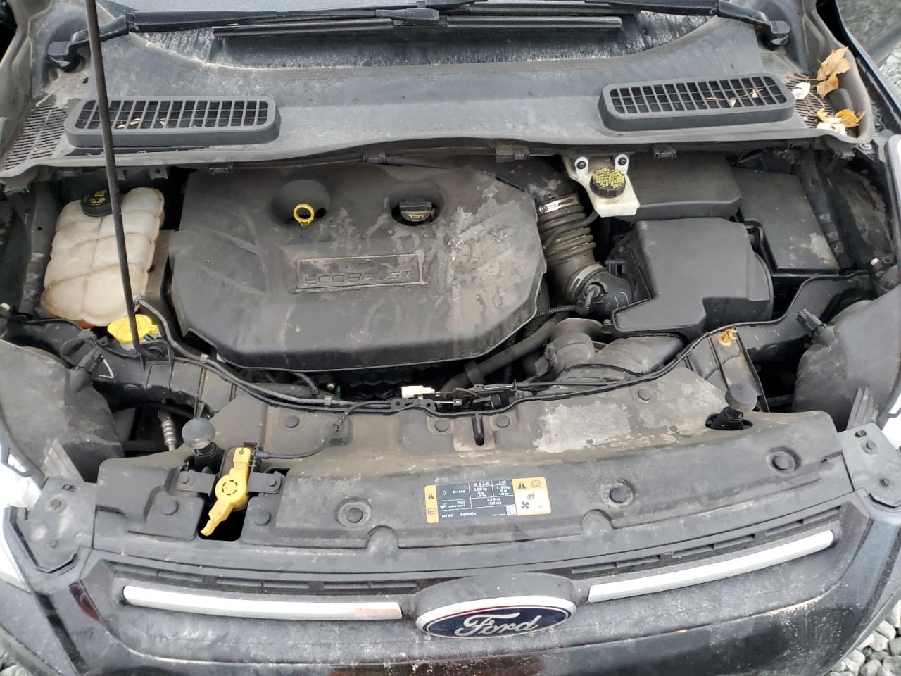 Ford Escape Se Image 10