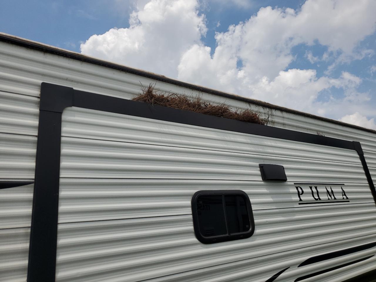 Puma Trailer Image 8