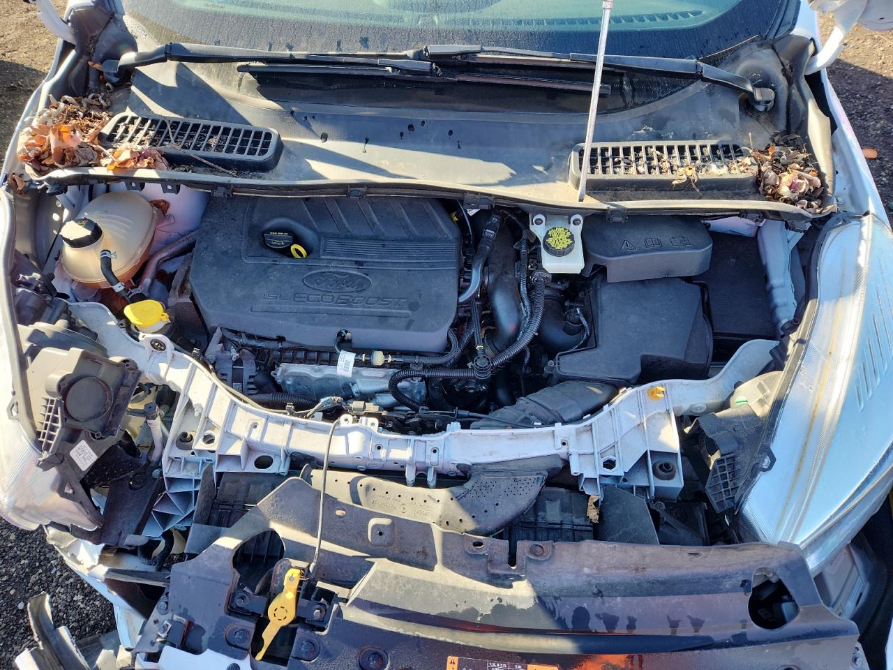 Ford Escape Se Image 5