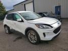 Ford Escape Se Image 10