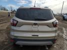 Ford Escape Sel Image 7