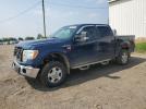 Ford F-150 Supercrew Image 1
